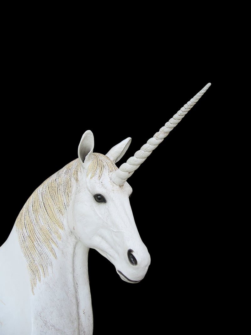 Unicorn Fantasy Wedding